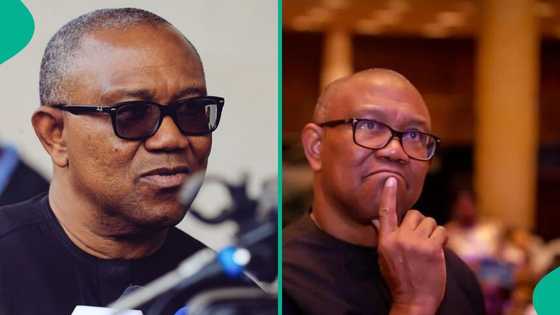 New video of Peter Obi serving food and drinks to political allies attracts reactions