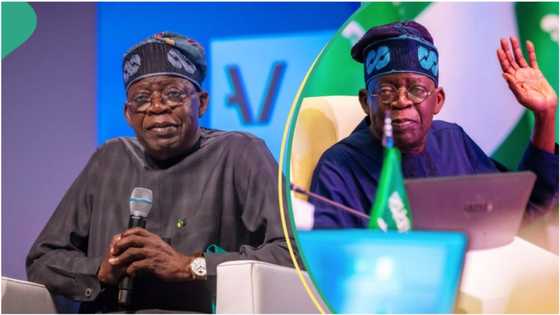 "He is still implementing some policies": APC member unveils when to judge Tinubu