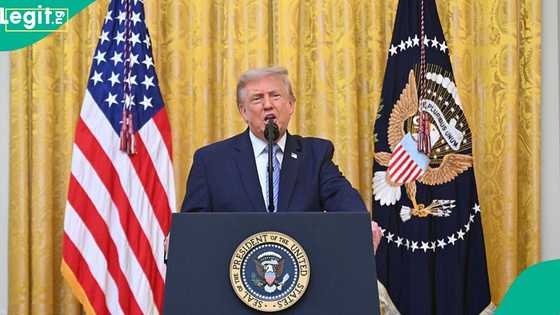Full list and countries as US designates 20 new terrorist organisations under Trump administration