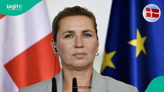 Denmark lists 4 benefits foreigners with business residence permits cannot receive