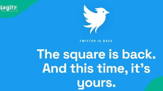 Twitter is back? New platform Twitter.now launches as Elon Musk’s X Faces Fresh Trademark Fight