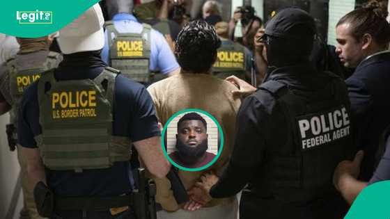 African blogger who supports US mass deportation gets apprehended for overstaying his visa