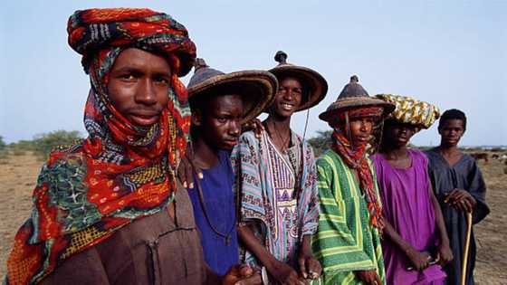 Shugabannin Fulani Sun Tsaidawa 'Yan Kabilarsu ‘Dan Takara a Zaben Shugaban Kasa