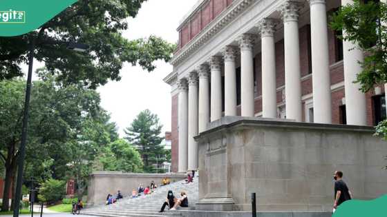"Enroll now with link": Harvard University presents free online courses, Nigerians eligible to participate