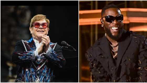 “You’re the one artist I will really love to work with”: Legendary pop singer Elton John says to Burna Boy