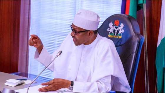 Fayose identifies people Twitter should hold accountable for Buhari's deleted tweet