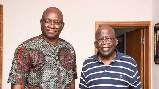 Fayose visits Tinubu in Lagos, says he remains a PDP member