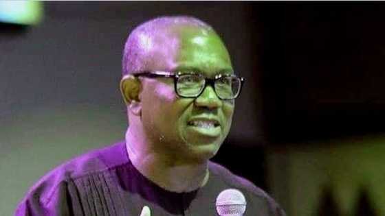 2023: Peter Obi Zai Rasa Takarsa Na Shugaban Kasa A Labour Party? Sabbin Bayanai Sun Fito Fili