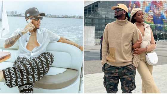 "I've been single, I envy Paul Okoye": Tekno cries out, Psquare star quickly fires back at singer