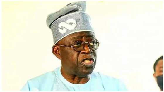 2023: Ina Neman Goyon Bayan Ku Don Cika Burin Rayuwa Ta, Tinubu Ga Sanatocin APC