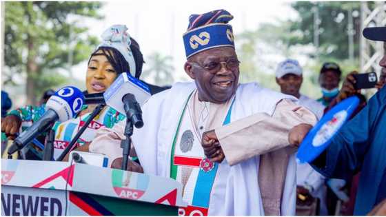 Tinubu Ya Lashe Zabe a Jihar Ondo Da Tazara Mai Yawan Gaske