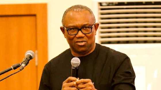 Dalilin Da Ya Sa NCAA Ta Tsare Jirgin Kamfen Din Peter Obi - Majiya