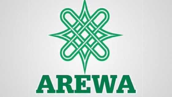 Dattawan Arewa Sun Goyi Bayan Gwamnonin Kudu, Sun Ce Dole a Dena Kiwo a Fili