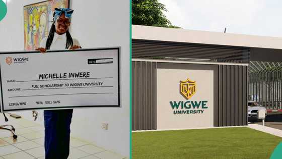 Wigwe University: Young lady awarded full scholarship to study at most expensive varsity in Nigeria