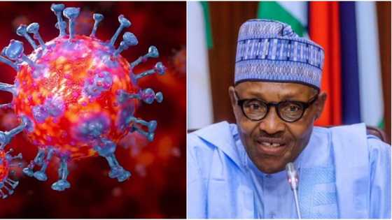 Covid-19: Wata yarinya mai shekaru 8 ta rubutawa Buhari wasika, ta bayar da tallafin N2,350