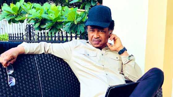 Shugabanci ba na mashiririta da zaman kashe wando bane, APC ta yi wa Shehu Sani martani