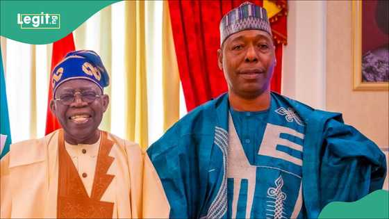 Video trends as Tinubu finally meets with Borno gov Zulum to end Boko Haram terror