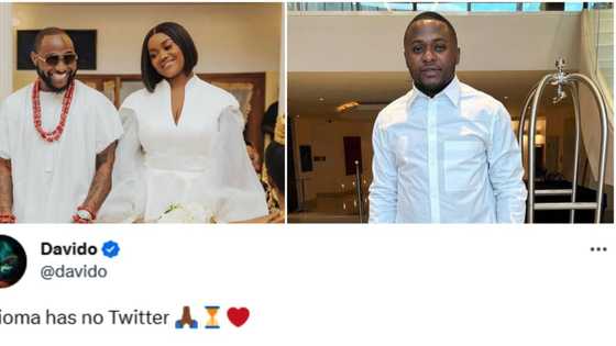 “Scammers busted”: Fans react as Davido, Ubi Franklin call out fake Twitter page impersonating Chioma