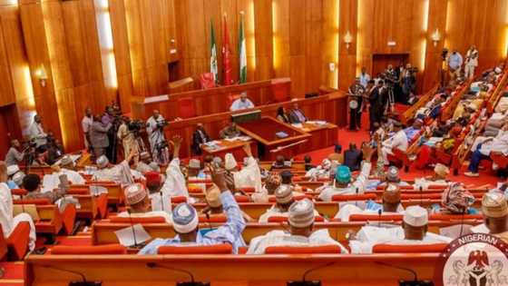 400 MDAs risk scrapping, as senate issues approval, gives crucial reason