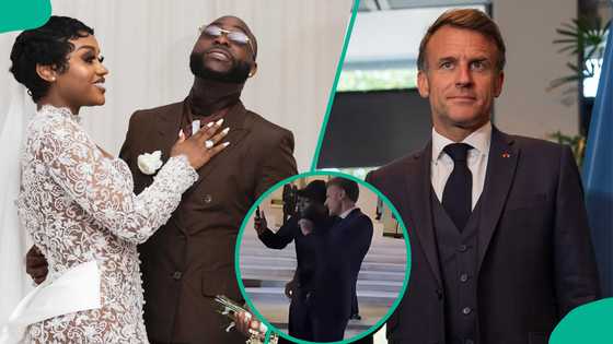 Davido introduces Chioma to French president via phone call, fans drool: “Intentional man”