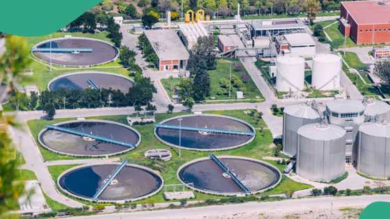 Bankin Musulunci zai yi wani babban aiki a Kano, zai kashe naira biliyan 4, an samu karin bayani