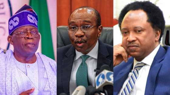 CBN ta zama ATM din munafukan gwamnati: Shehu Sani ya bi ta kan korarren gwamna Emefiele