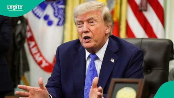 US announces 2 categories of people who can apply for American citizenship without paying fee