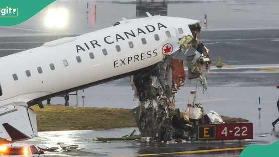 Survivor of New York airport plane crash finally speaks, shares fresh details