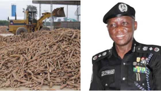 After 30 years of service in the police, ex-deputy inspector general of police now makes fufu, garri