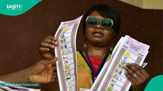 INEC declares winner in Kano Assembly bye-election