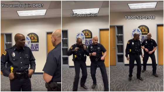 Can never happen in Nigeria: US policemen dance in uniforms, use video to advertise recruitment into force
