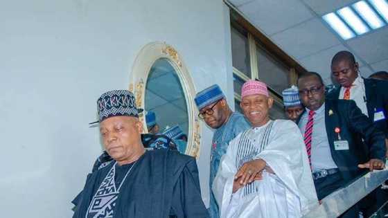 Shari’ar Gwamna: Cikin Yarbawa ya tsure yayin da zanga-zanga ya barke a Kano