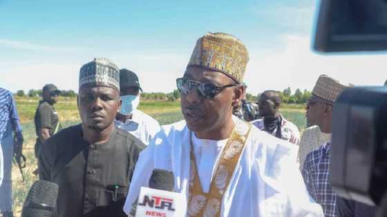 Gwamnan Borno ya lissafa wasu muhimman abubuwa 7 da ya kamata Buhari yayi don kawo karshen Boko Haram