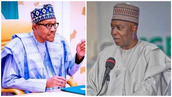 2023: Buhari's government is full of deceit, PDP presidential aspirant reveals