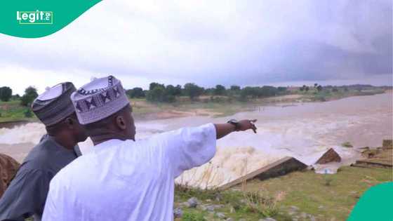 Borno: Mamakon ruwa ya gigita jama'a, mutane sun fara barin gidajensu