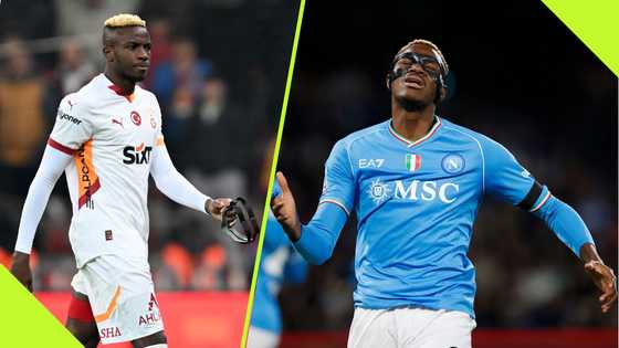 Turkish coach shares real reason why Galatasaray will not sign Osimhen permanently