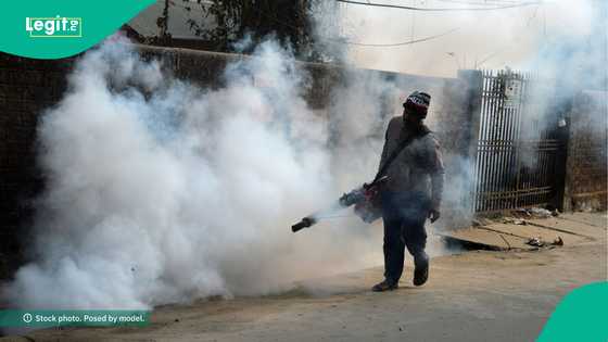 Yadda wata kotu a Najeriya ta kashe N16m a feshin maganin kwari