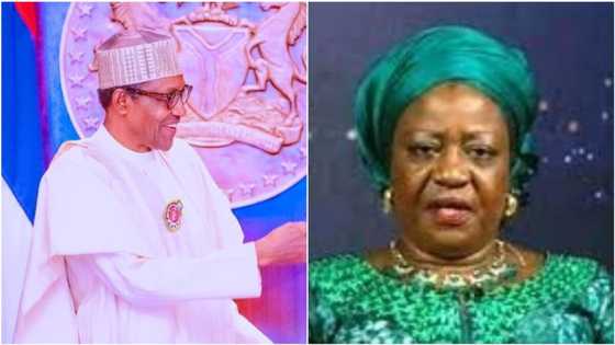 BREAKING: Buhari reshuffles cabinet, appoints controversial aide to head NDDC, 15 others