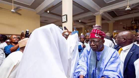 An Sake Samun Lauyan da Ya Kai INEC Kara a Kotu Saboda Takarar Bola Tinubu