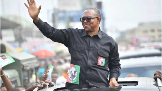 Zaben 2023: Ku Amshi Kudinsu Amma Ku Zabe Ni, Peter Obi Ya Fada Wa Yan Najeriya