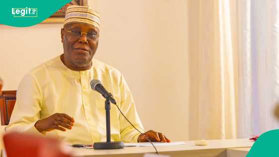 Has Adamawa govt stripped Atiku of traditional title of Wazirin Adamawa? Here is what we know