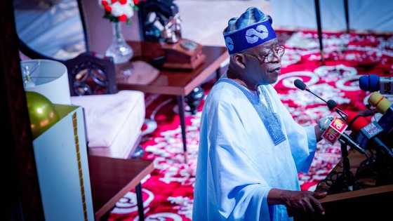 2023 presidency: Did Tinubu truly bear Yekini Amoda Ogunlere? New report clears air
