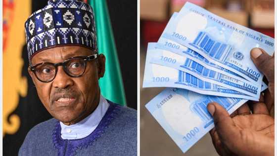 Report shows naira lost half its value against US dollar under President Buhari