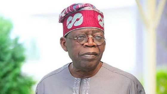 We don't want second Buhari - Tinubu's presidential ambition stirs mixed reactions