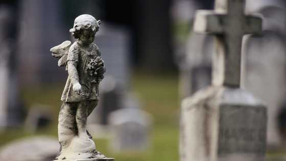 I visited my daughter’s grave every Sunday — Then the cemetery keeper told me the truth