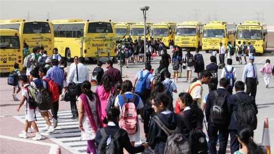 Dubai, Abu Dhabi stop giving students homework to create more free time at home