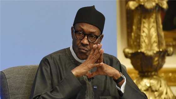 Buhari ya gaza, kuma bai shirya magance matsalar rashin tsaro ba, inji Sanata mai ci