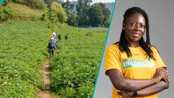 Morin Akeredolu-Ale saw a broken system, then built Enconverge to connect Africa’s green economy