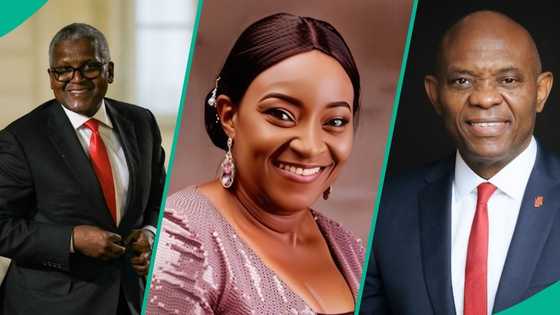 Titans of the NGX: Meet Nigeria's richest stock market investors and their billion-naira bets