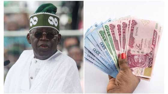 Naira breaks record, falls to lowest in both official and Parallel markets amid CBN devaluation denials